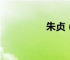 朱貞（關(guān)于朱貞的介紹）