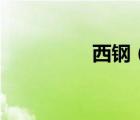 西鋼（關(guān)于西鋼的介紹）