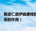 斯皮仁諾伊曲康唑膠囊為什么那么貴（斯皮仁諾伊曲康唑膠囊的作用）