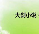 大劍小說（關(guān)于大劍小說的介紹）