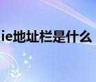 ie地址欄是什么（IE9地址欄的搜索使用技巧）