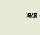 馮鋼（關(guān)于馮鋼的介紹）