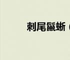 刺尾鬣蜥（關(guān)于刺尾鬣蜥的介紹）