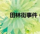 田林街事件（關(guān)于田林街事件的介紹）