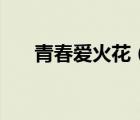 青春愛火花（關(guān)于青春愛火花的介紹）