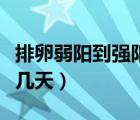 排卵弱陽到強(qiáng)陽需幾天（排卵弱陽到強(qiáng)陽需要幾天）