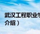 武漢工程職業(yè)學(xué)院（關(guān)于武漢工程職業(yè)學(xué)院的介紹）