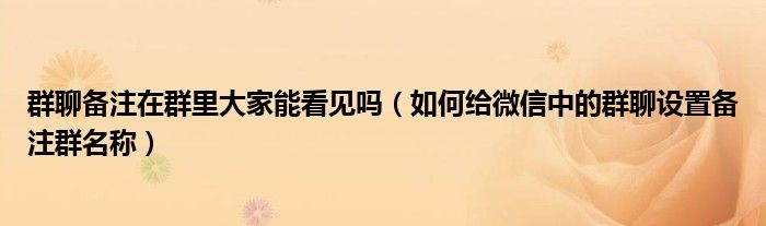 群聊備注在群里大家能看見嗎（如何給微信中的群聊設(shè)置備注群名稱）