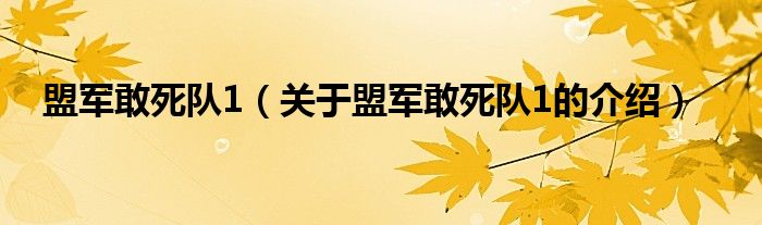 盟軍敢死隊1（關于盟軍敢死隊1的介紹）