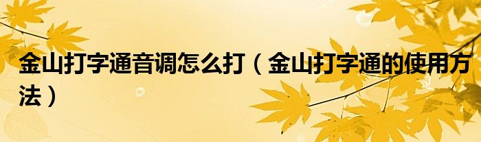 金山打字通音調(diào)怎么打（金山打字通的使用方法）