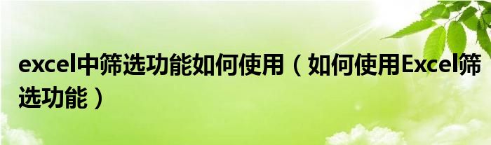 excel中篩選功能如何使用（如何使用Excel篩選功能）
