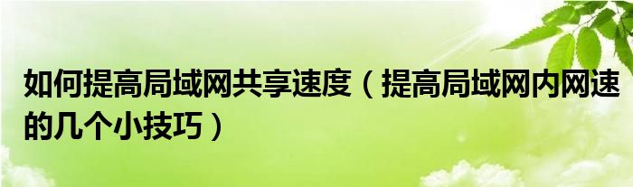 如何提高局域網共享速度（提高局域網內網速的幾個小技巧）