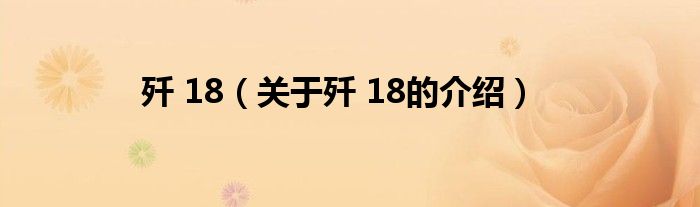 殲 18（關(guān)于殲 18的介紹）