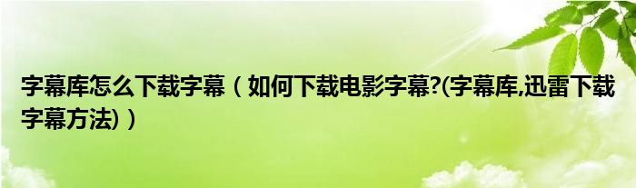 字幕庫怎么下載字幕（如何下載電影字幕?(字幕庫,迅雷下載字幕方法)）