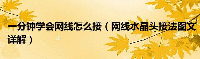 一分鐘學會網(wǎng)線怎么接（網(wǎng)線水晶頭接法圖文詳解）