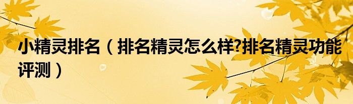 小精靈排名（排名精靈怎么樣?排名精靈功能評測）