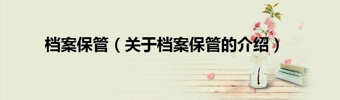 檔案保管（關于檔案保管的介紹）