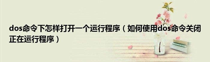 dos命令下怎樣打開一個運行程序（如何使用dos命令關(guān)閉正在運行程序）