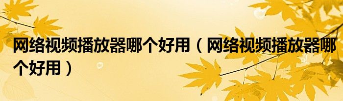 網(wǎng)絡(luò)視頻播放器哪個(gè)好用（網(wǎng)絡(luò)視頻播放器哪個(gè)好用）