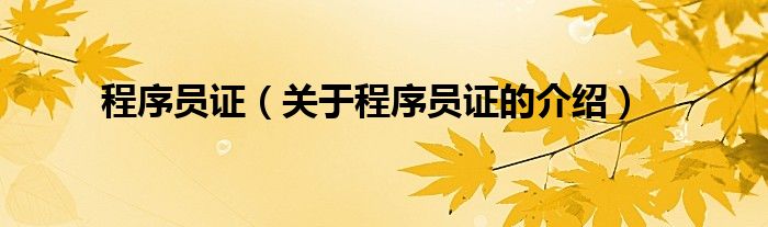 程序員證（關(guān)于程序員證的介紹）