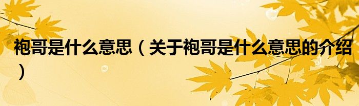 袍哥是什么意思（關于袍哥是什么意思的介紹）