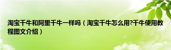 淘寶千牛和阿里千牛一樣嗎（淘寶千牛怎么用?千牛使用教程圖文介紹）
