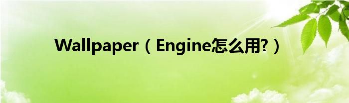 Wallpaper（Engine怎么用?）