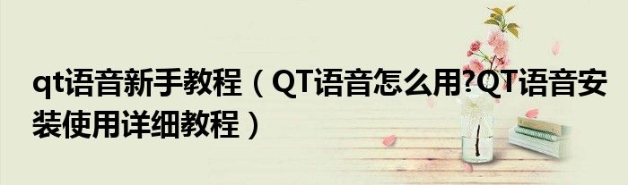 qt語(yǔ)音新手教程（QT語(yǔ)音怎么用?QT語(yǔ)音安裝使用詳細(xì)教程）