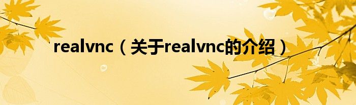 realvnc（關(guān)于realvnc的介紹）