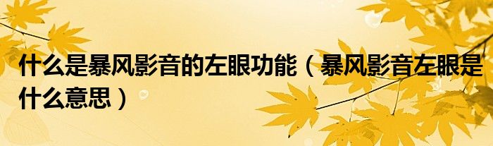 什么是暴風(fēng)影音的左眼功能（暴風(fēng)影音左眼是什么意思）