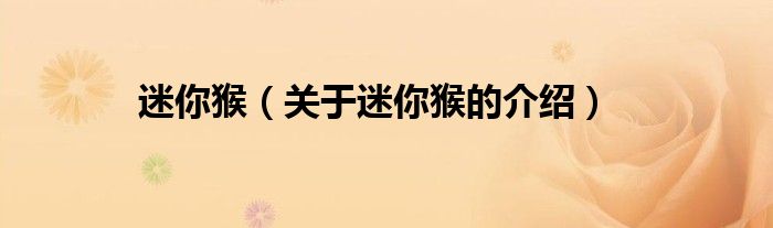 迷你猴（關(guān)于迷你猴的介紹）
