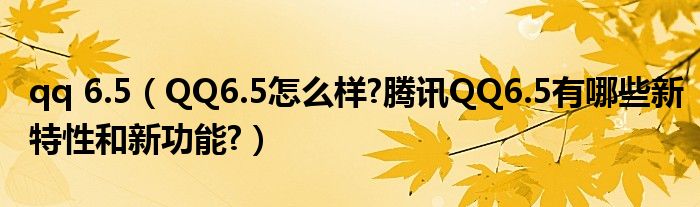 qq 6.5（QQ6.5怎么樣?騰訊QQ6.5有哪些新特性和新功能?）