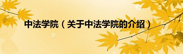 中法學(xué)院（關(guān)于中法學(xué)院的介紹）