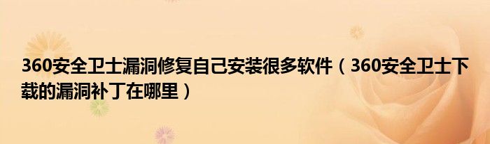 360安全衛(wèi)士漏洞修復(fù)自己安裝很多軟件（360安全衛(wèi)士下載的漏洞補(bǔ)丁在哪里）