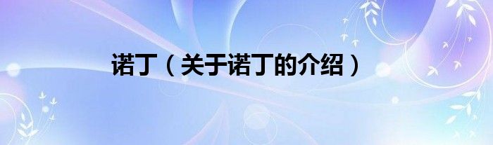 諾?。P(guān)于諾丁的介紹）
