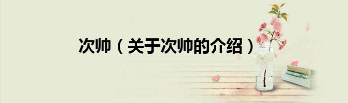 次帥（關(guān)于次帥的介紹）