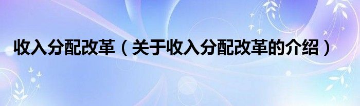 收入分配改革（關(guān)于收入分配改革的介紹）