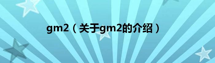 gm2（關(guān)于gm2的介紹）