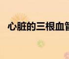 心臟的三根血管（心臟的三根血管叫什么）
