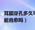 耳膜穿孔多久可以自愈嗎（耳膜穿孔多長(zhǎng)時(shí)間能自愈嗎）