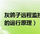 灰鴿子遠(yuǎn)程監(jiān)控手機(jī)版（遠(yuǎn)程監(jiān)控軟件灰鴿子的運(yùn)行原理）