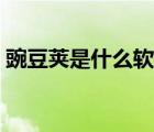 豌豆莢是什么軟件（碗豆夾賬號有什么作用）