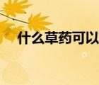 什么草藥可以止癢（什么草藥可以止癢）