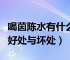 喝茵陳水有什么好處與壞處（喝茵陳水有什么好處與壞處）