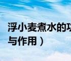 浮小麥煮水的功效與作用（浮小麥煮水的功效與作用）