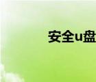 安全u盤（教你打造安全u盤）
