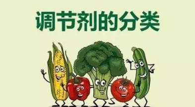 金屬納米粒子作為植物生長調(diào)節(jié)劑