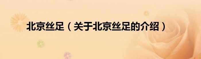 北京絲足（關(guān)于北京絲足的介紹）