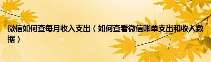 微信如何查每月收入支出（如何查看微信賬單支出和收入數(shù)據(jù)）