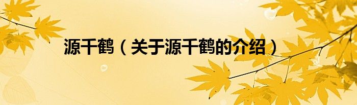 源千鶴（關(guān)于源千鶴的介紹）
